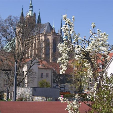 Hotelpension Am Dom Erfurt Eksteriør billede