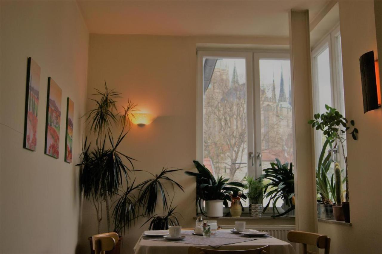 Hotelpension Am Dom Erfurt Eksteriør billede